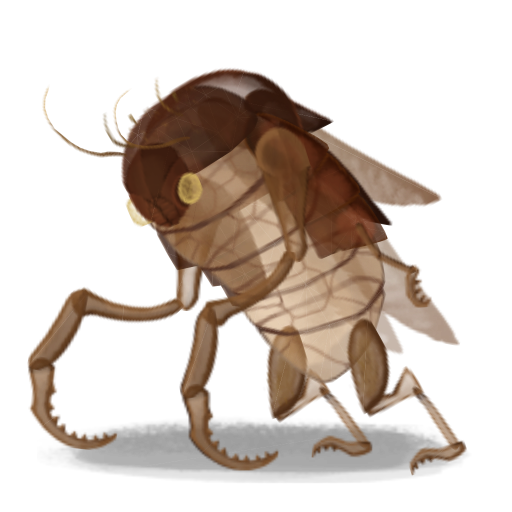 Exoskeleton