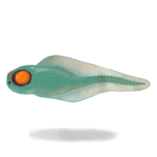 Toadpole