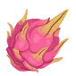 Dragon Fruit