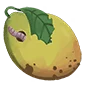 Mango???