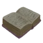 History Course