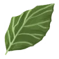 New Leaf
