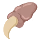 Pael's Claw